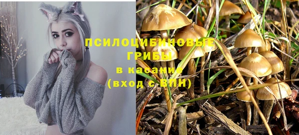 ECSTASY Алексин