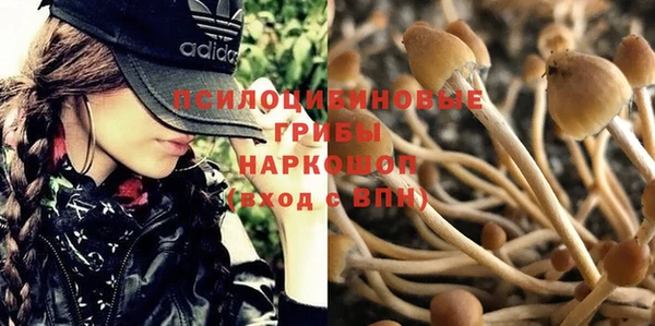 ECSTASY Алексин