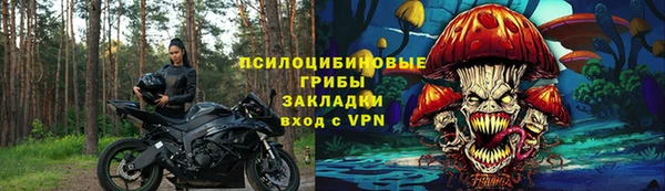 круглые Алзамай